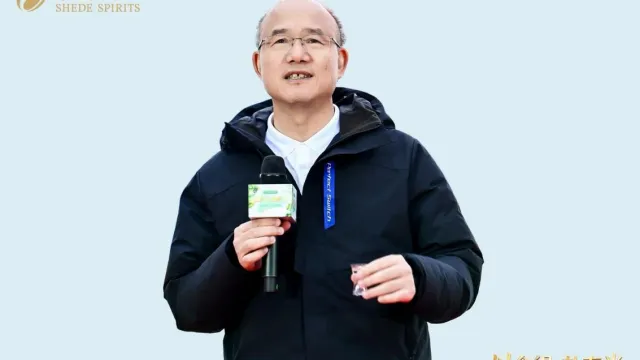 图片5